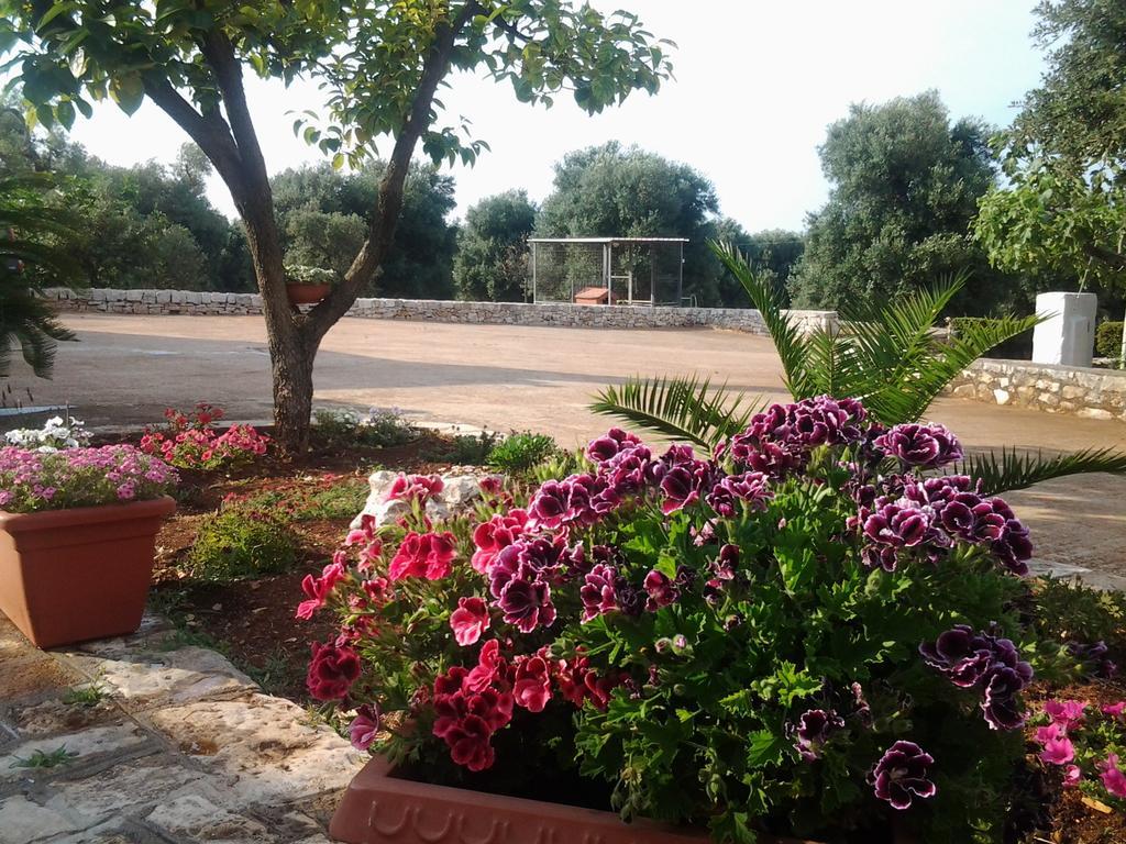 La Collina Degli Ulivi Appartement Fasano Buitenkant foto