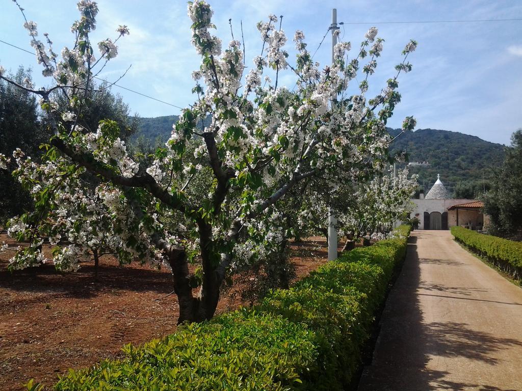 La Collina Degli Ulivi Appartement Fasano Buitenkant foto