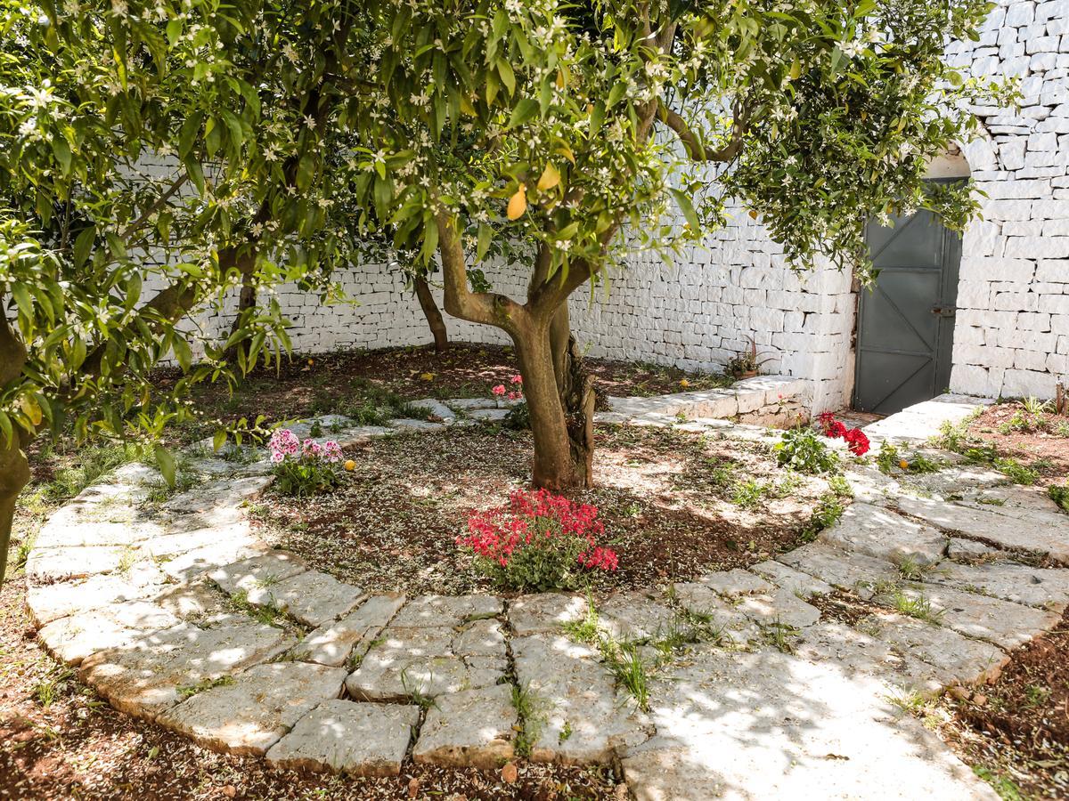 La Collina Degli Ulivi Appartement Fasano Buitenkant foto