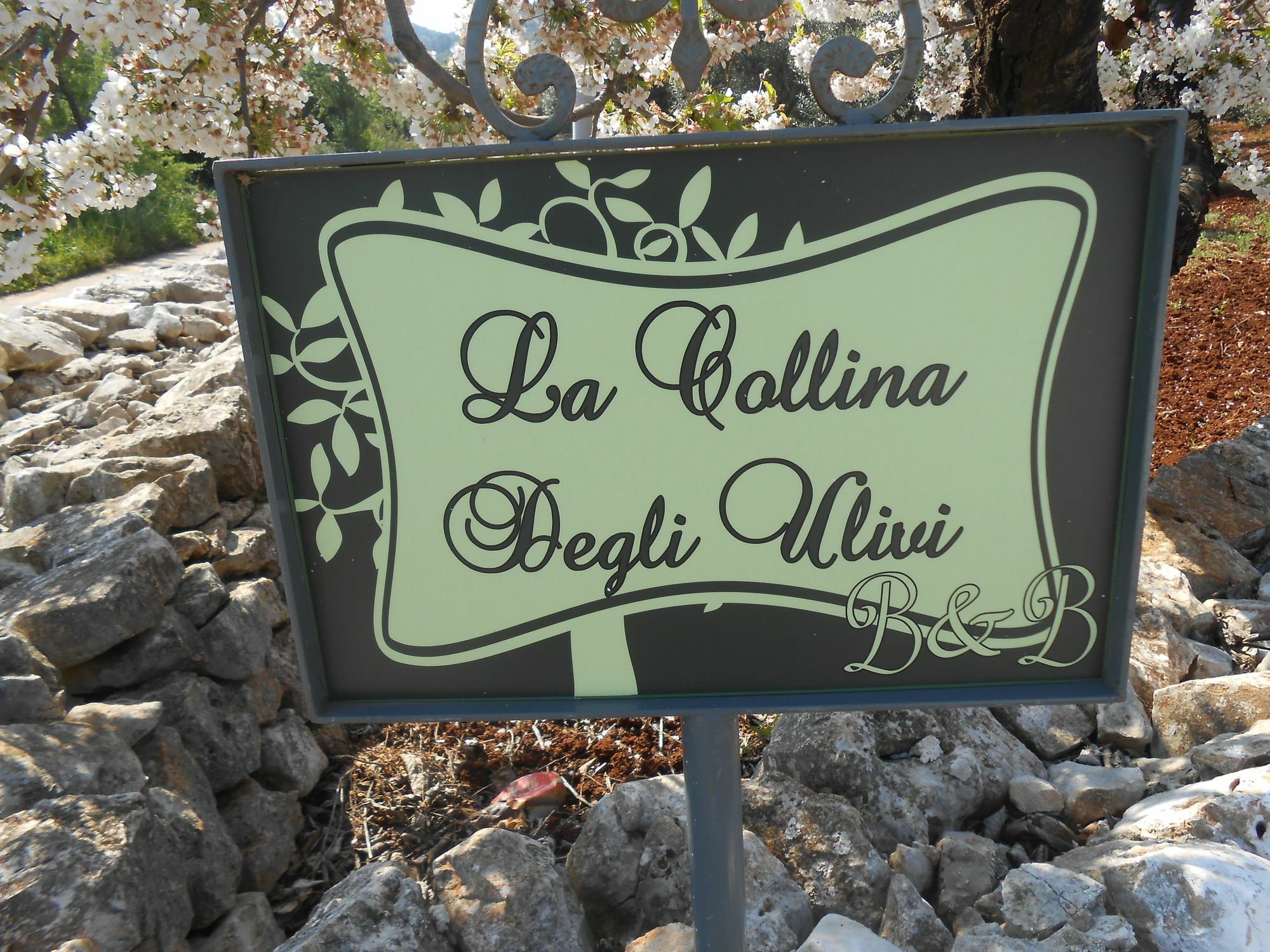 La Collina Degli Ulivi Appartement Fasano Buitenkant foto